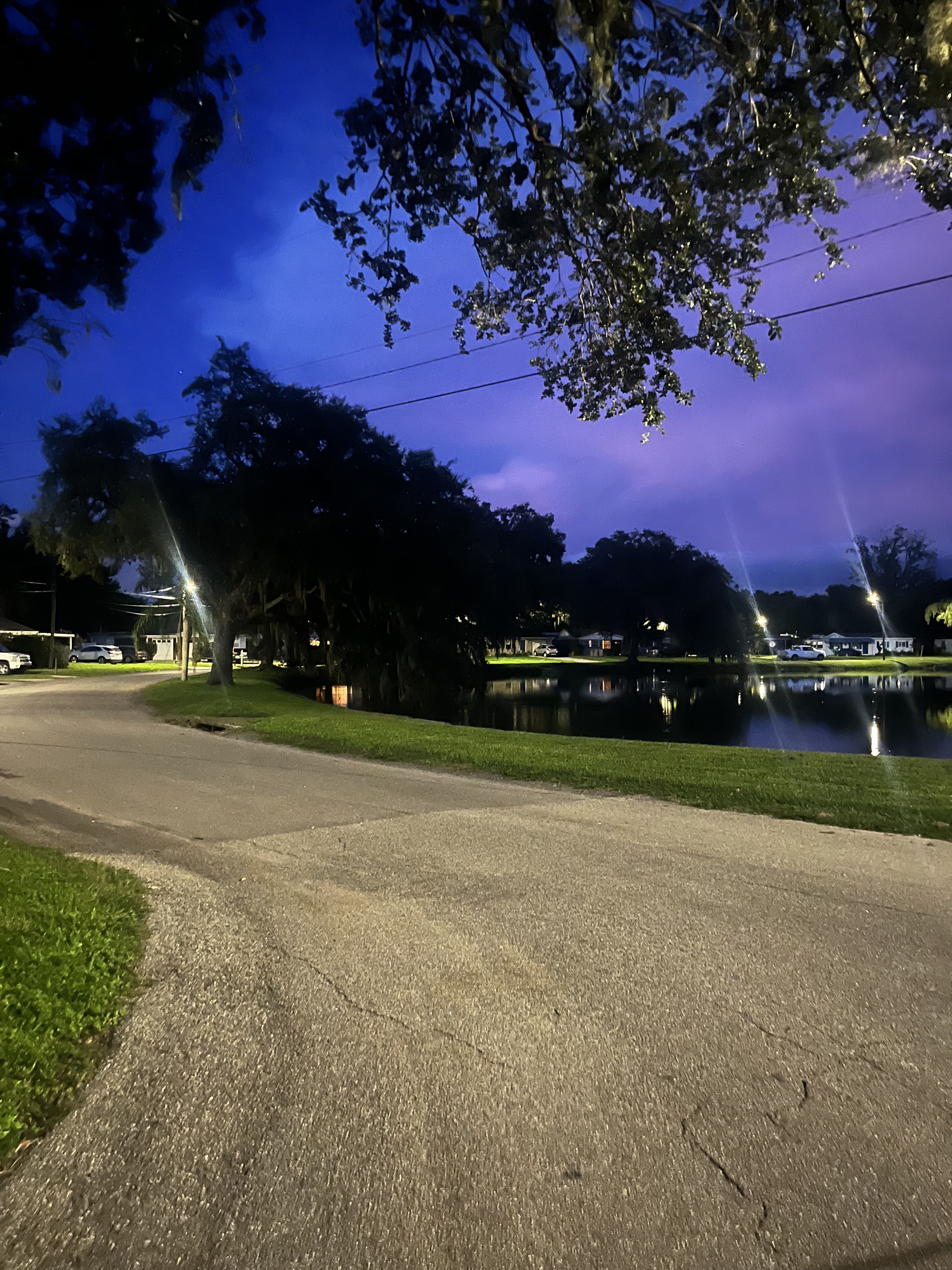 the word of the year is risk